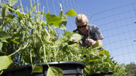 В штате Миссури начали испытание нового органического удобрения для почв