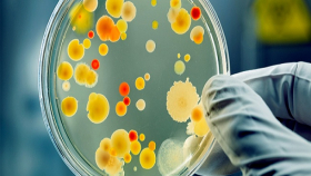 Бельгийская компания выпустит препараты для АПК из микроорганизмов