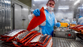 В России построят 18 рыбоперерабатывающих заводов