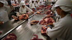 После запрета бразильского мяса в России подорожает говядина