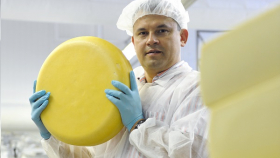 В Вологодской области производство сыра вырастет в 3 раза