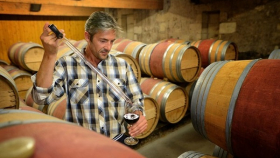 На Кубани открыли пятую «запатентованную» зону виноделия