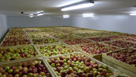 В Адыгее до 2020 года построят семь мощных плодохранилищ