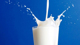 В США продолжило расти производство молока