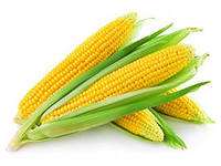 Кукуруза из России составила на мировом рынке конкуренцию  кукурузе из США и Украины