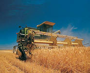 В Ставропольском крае собрали более 3 миллионов тонн зерна