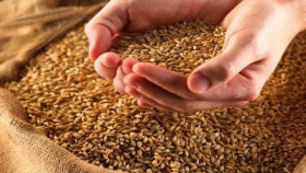 GASC может провести новые тендеры на закупку пшеницы