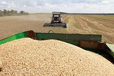 В Ставропольском крае удалось получить второй миллион тонн зерна текущего года