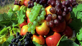 Ставрополье заметно увеличило урожай фруктов и ягод после санкций
