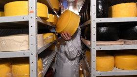 Медведев посетит калужские предприятия по производству сыров