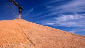 В РФ ожидаются рекордно низкие запасы зерна