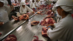 Россия ограничит экспорт мяса из новой бразильской компании