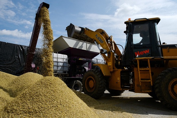 Россия хочет увеличить экспорт зерна в Судан до миллиона тонн