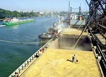 В 5,5 раз увеличился экспорт зерна через порты Кубани