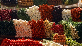 Россельхознадзор осмотрел производства плодоовощной продукции в Судане
