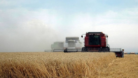 На Украине собрали около 39 млн тонн зерновых