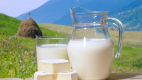 Правительство может создать интервенционный фонд для молочной продукции