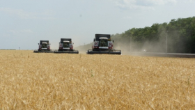 В Ростовской области началась уборка зерновых