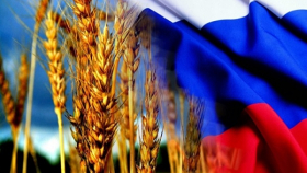 Россия сможет найти замену Турции для поставки зерновых - эксперт