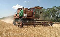 Второй миллион тонн хлеба удалось получить в Ростовской области