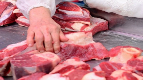 Россия ограничила поставки белорусского мяса из-за кишечной палочки