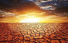 США столкнётся с засухой и сельскохозяйственным кризисом
