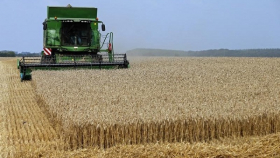 Российский зерновой союз ответил на опасения американских фермеров