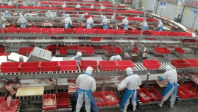 Крупнейший мировой производитель свинины закрыл скотобойню
