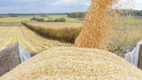 Россия может резко увеличить поставки зерна в Мексику