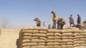 Сирия накопила запасов пшеницы на полгода   