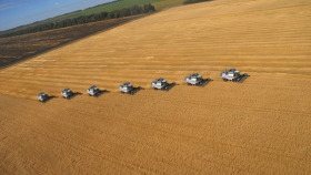 В России собрали около 65 млн. тонн зерновых
