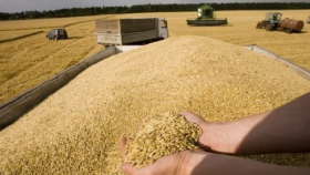 Смена правительства в Монголии угрожает поставкам сибирского зерна