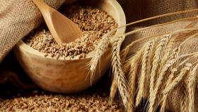 В России падают экспортные цены на пшеницу