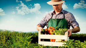 Поддержка сельхозкооперативов на Кубани выросла на 20 процентов