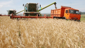 В Башкирии собрали первый миллион тонн зерновых