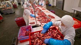ФАС не будет вмешиваться в ситуацию с ростом цен на мясо в России