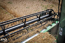Шестой миллион тонн зерновых намолочен в Краснодарском крае