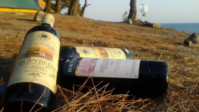 Аксенов: Крым перестал делать «порошковое вино»