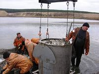 В Азово-Черноморском рыбохозяйственном бассейне согласованы ОДУ