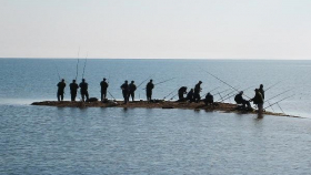 Украинские экологи предлагают запретить рыбный промысел в Азовском море