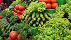 Продэмбарго: Россия сама себя обеспечит овощами