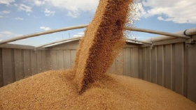 Ткачев назвал зерно более важным для России чем нефть