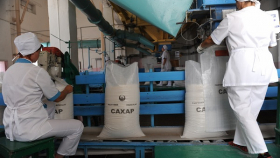 Россия расширит экспорт сахара