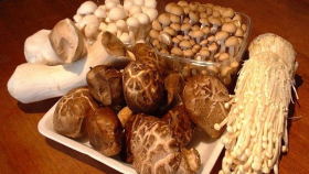 В России хотят включить грибы в план импортозамещения