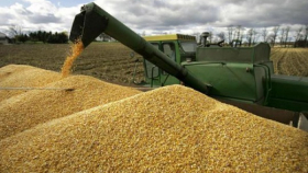 Россия увеличила экспорт зерна почти на 13%