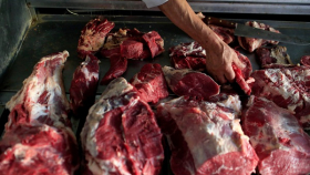 Россельхознадзор ограничил экспорт мяса из Бразилии