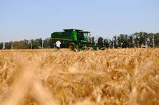 В июне в Геленджике ожидается международный зерновой раунд