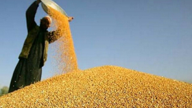 ФАО: рекорд урожая зерна в мире обеспечит рекорд запасов в 2017-18 МГ