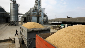 МСХ РФ пока не будет запускать закупочные зерновые интервенции      