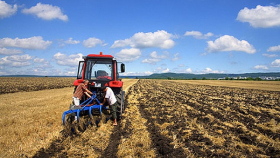 На Кубани продлят срок для льготного выкупа сельхозземель